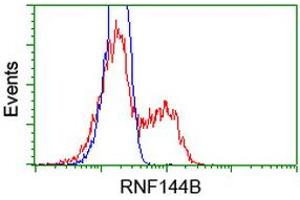 Image no. 3 for anti-Ring Finger Protein 144B (RNF144B) (AA 1-256) antibody (ABIN1490652) (RNF144B antibody  (AA 1-256))