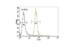 HRX Antibody (C-term) (ABIN387979 and ABIN2844802) flow cytometric analysis of CEM cells (right histogram) compared to a negative control cell (left histogram). (MLL/KMT2A antibody  (C-Term))