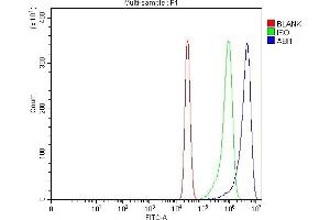 Flow Cytometry analysis of K562 cells using anti-SSH3BP1/ABI1 antibody (ABIN3043515).