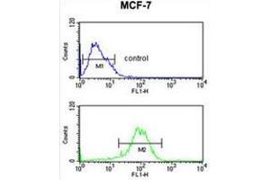 NR1H3 Antibody (Center) flow cytometric analysis of MCF-7 cells (bottom histogram) compared to a negative control cell (top histogram).