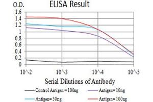 Black line: Control Antigen (100 ng),Purple line: Antigen (10 ng), Blue line: Antigen (50 ng), Red line:Antigen (100 ng) (GLRB antibody  (AA 23-160))