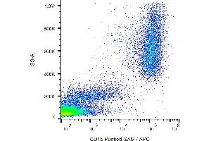 Flow cytometry analysis (surface staining) of CD15 in human peripheral blood with anti-CD15 (MMA) purified, GAM-APC. (CD15 antibody)