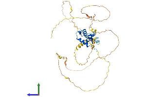 AlphaFold protein structure predicition of Human Recombinant FOXD4L1 Protein, UniprotID Q9NU39