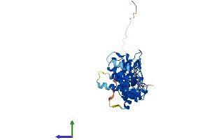 Protein Structure (PS) image for Nuclear Factor of kappa Light Polypeptide Gene Enhancer in B-Cells Inhibitor, delta (NFKBID) (AA 1-327) protein (His tag) (ABIN7557009)