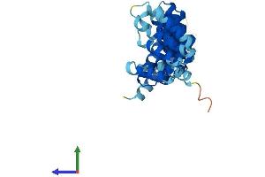 AlphaFold protein structure predicition of Mouse Recombinant Napa Protein, UniprotID Q9DB05 (NAPA Protein (AA 1-295) (His tag))