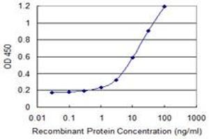 MS4A15 antibody  (AA 1-147)