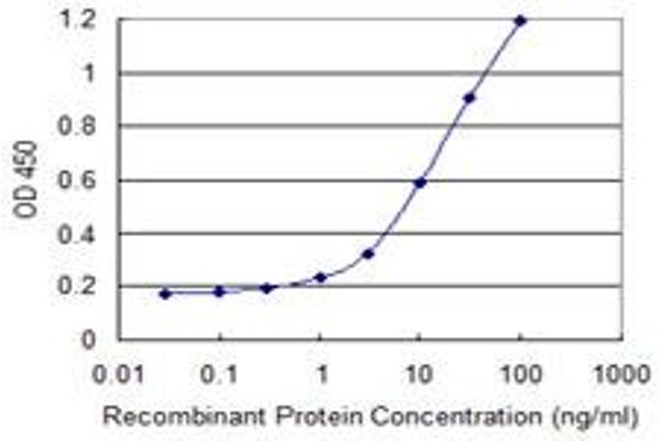 MS4A15 antibody  (AA 1-147)