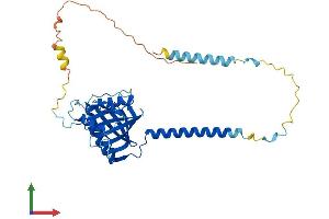 Protein Structure (PS) image for BRX1, Biogenesis of Ribosomes, Homolog (BRIX1) (AA 1-353) protein (His tag) (ABIN7552745)