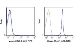 Flow Cytometry of anti-CD45. (CD45 antibody  (FITC))