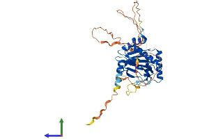 Protein Structure (PS) image for Egl-9 Family Hypoxia Inducible Factor 2 (EGLN2) (AA 1-407) protein (His tag) (ABIN7553791)