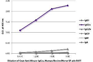 Goat anti-Mouse IgG2a antibody (Biotin) - Preadsorbed