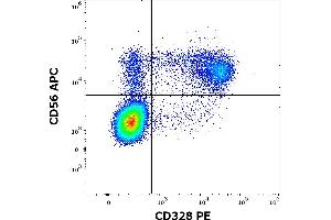 Flow cytometry multicolor surface staining of human peripheral whole blood stained using anti-human CD328 (6-434) PE antibody (10 μL reagent / 100 μL of peripheral whole blood) and anti-human CD56 (LT56) APC antibody (10 μL reagent / 100 μL of peripheral whole blood). (SIGLEC7 antibody  (PE))