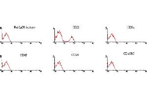 ELISA image for Mouse anti-Rat IgG1 antibody (FITC) (ABIN371211) (Mouse anti-Rat IgG1 Antibody (FITC))