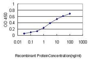 Detection limit for recombinant GST tagged KNTC2 is approximately 0. (NDC80 antibody  (AA 545-642))