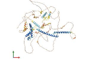 Protein Structure (PS) image for MLX Interacting Protein-Like (MLXIPL) (AA 1-864) protein (His tag) (ABIN7560422)