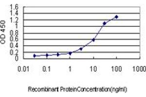 Detection limit for recombinant GST tagged CSE1L is approximately 0. (Exportin 2 antibody  (AA 872-971))