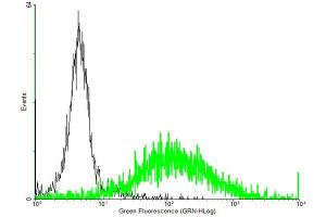 FACS analysis of negative control 293 cells (Black) and CCRL2 expressing 293 cells (Green) using CCRL2 purified MaxPab mouse polyclonal antibody. (CCRL2 antibody  (AA 1-344))