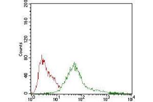 Flow cytometric analysis of HepG2 cells using PRKAG1 mouse mAb (green) and negative control (red). (PRKAG1 antibody  (AA 230-331))