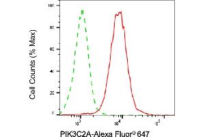 Flow cytometric analysis of PIK3C2A expression in HepG2 cells using PIK3C2A antibody (ABIN7799818), 1:1,000). (PIK3C2A antibody)