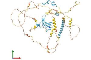 AlphaFold protein structure predicition of Human Recombinant YAP1 Protein, UniprotID P46937 (YAP1 Protein (AA 1-504) (His tag))