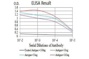 Black line: Control Antigen (100 ng),Purple line: Antigen (10 ng), Blue line: Antigen (50 ng), Red line:Antigen (100 ng) (CEACAM1 antibody  (AA 65-201))