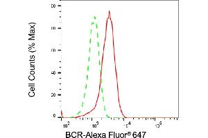Flow cytometric analysis of BCR expression in HepG2 cells using BCR antibody (ABIN7797789), 1:2,000). (Recombinant BCR antibody)