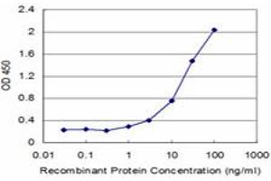 Detection limit for recombinant GST tagged CDC5L is approximately 1ng/ml as a capture antibody. (CDC5L antibody  (AA 719-802))