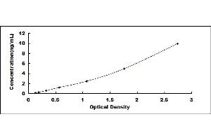 WNT5A ELISA Kit