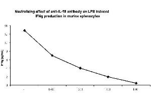 In-vitro neutralization. (IL-18 antibody  (AA 1-157))