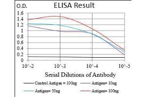Black line: Control Antigen (100 ng), Purple line: Antigen(10 ng), Blue line: Antigen (50 ng), Red line: Antigen (100 ng), (GABBR2 antibody  (AA 319-483))