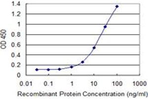 Detection limit for recombinant GST tagged ZNF268 is 0. (ZNF268 antibody  (AA 1-90))