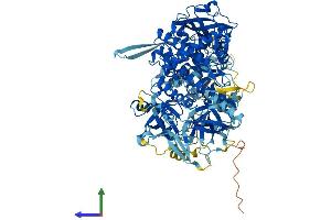 AlphaFold protein structure predicition of Human Recombinant DIS3 Protein, UniprotID Q9Y2L1