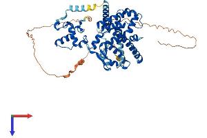 PPARG Protein (AA 1-505) (His tag)