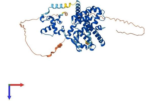 PPARG Protein (AA 1-505) (His tag)