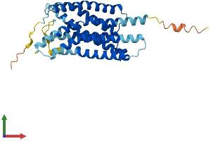 Protein Structure (PS) image for G Protein-Coupled Receptor 35 (GPR35) (AA 1-309) protein (His tag) (ABIN7548041)