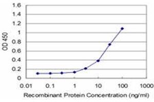 Detection limit for recombinant GST tagged ELA3A is approximately 1ng/ml as a capture antibody. (Elastase 3A antibody  (AA 16-270))