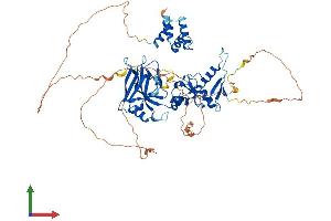 Protein Structure (PS) image for Protein Inhibitor of Activated STAT, 2 (PIAS2) (AA 1-621) protein (His tag) (ABIN7564515)