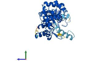 Protein Structure (PS) image for Glycerophosphodiester Phosphodiesterase Domain Containing 3 (GDPD3) (AA 1-318) protein (His tag) (ABIN7547938)