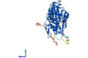 Protein Structure (PS) image for Actin-Like 7b (Actl7b) (AA 1-415) protein (His tag) (ABIN7551829)