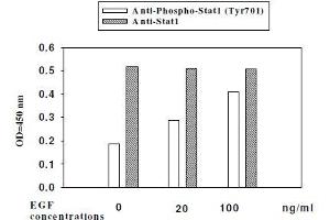 Image no. 3 for STAT1,STAT3,STAT5 ELISA Kit (ABIN1981847)