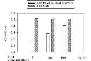 Image no. 3 for STAT1,STAT3,STAT5 ELISA Kit (ABIN1981847)