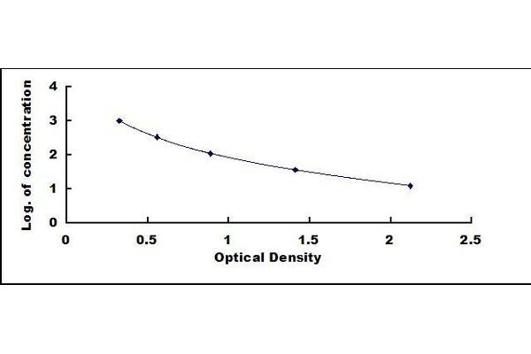 Substance P ELISA Kit