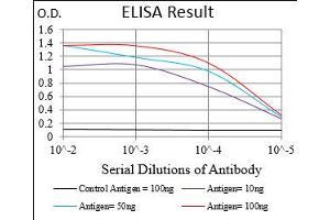 Black line: Control Antigen (100 ng), Purple line: Antigen(10 ng), Blue line: Antigen (50 ng), Red line: Antigen (100 ng), (SERPINA3 antibody  (AA 279-432))