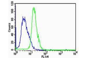 Flow cytometric analysis of Jurkat cells using HTR1A Antibody (Center)(green, Cat(ABIN6242991 and ABIN6577398)) compared to an isotype control of rabbit IgG(blue). (Serotonin Receptor 1A antibody  (AA 239-273))