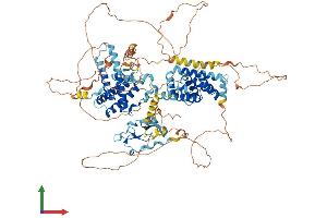 AlphaFold protein structure predicition of Human Recombinant ZFYVE28 Protein, UniprotID Q9HCC9