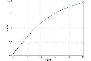 Ephrin A3 (EFNA3) ELISA Kit