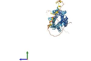 AlphaFold protein structure predicition of Human Recombinant KISS1R Protein, UniprotID Q969F8