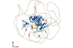 Protein Structure (PS) image for PHD Finger Protein 2 (PHF2) (AA 1-1096) protein (His tag) (ABIN7565207)