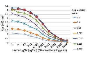 ELISA analysis of Human IgG4 monoclonal antibody, clone RM120  at the following concentrations: 0. (Rabbit anti-Human Immunoglobulin Heavy Constant gamma 4 (G4m Marker) (IGHG4) Antibody)