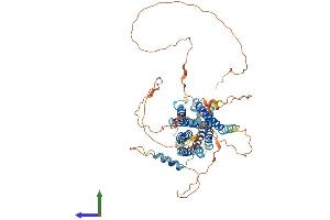AlphaFold protein structure predicition of Mouse Recombinant Gpr162 Protein, UniprotID Q3UN16
